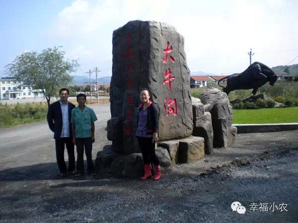 在北方投资500亩冰葡萄,投入数百万,还要建酒庄,可以吗?