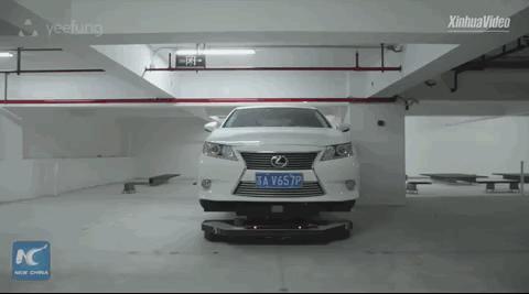 老外以为中国留学生都会武术,外国同学以为中国人都会功夫