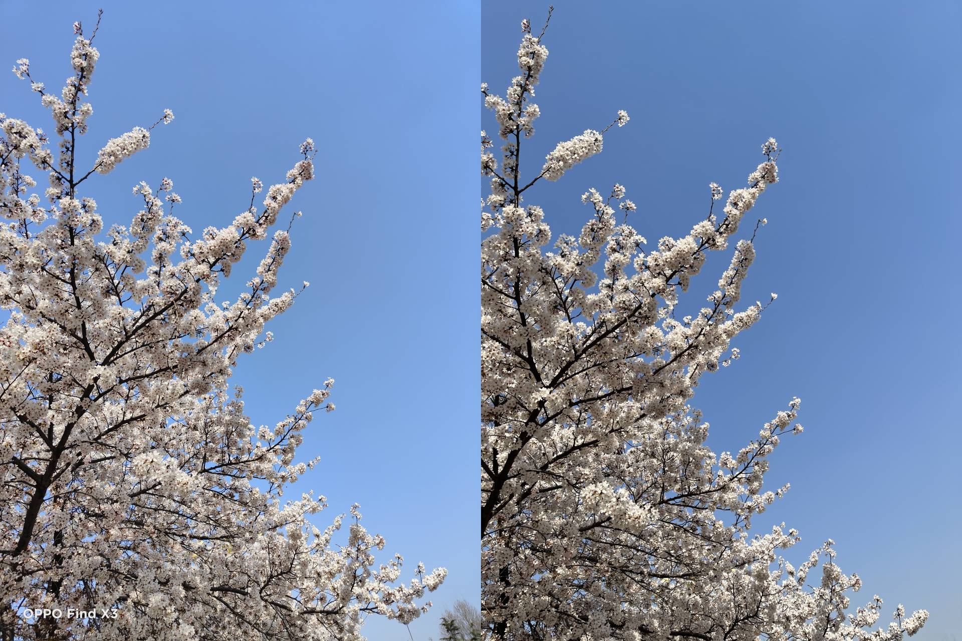 oppofindx3pro能和iphone比吗,oppofindx3真实体验