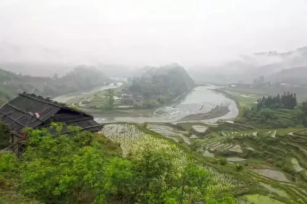 五岁小朋友简历：我们穷二代们该怎么办，已经被赢在娘胎