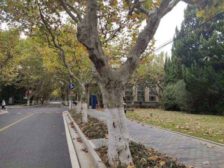 安徽省淮北师范大学录取分数线,安徽淮北十四中