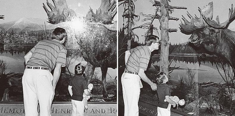 拍摄的照片怎么处理,怎么解决拍照曝光