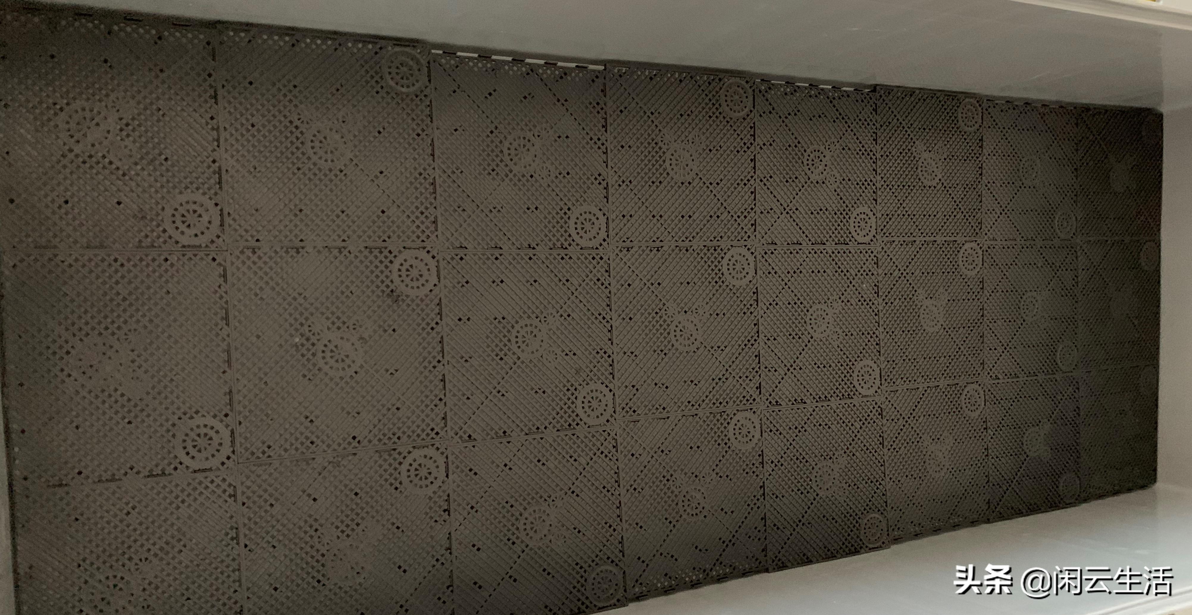 大型草龟家庭饲养环境布置,龟饲养环境怎样布置