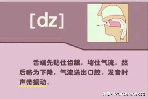 英语48个音标发音附详细图解,音标发音48个正确发音讲解视频