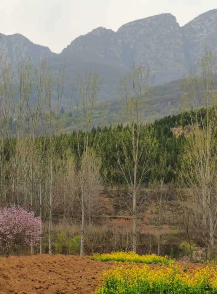 潇洒的奶奶是怎么来的,洒脱的老奶奶舞蹈视频