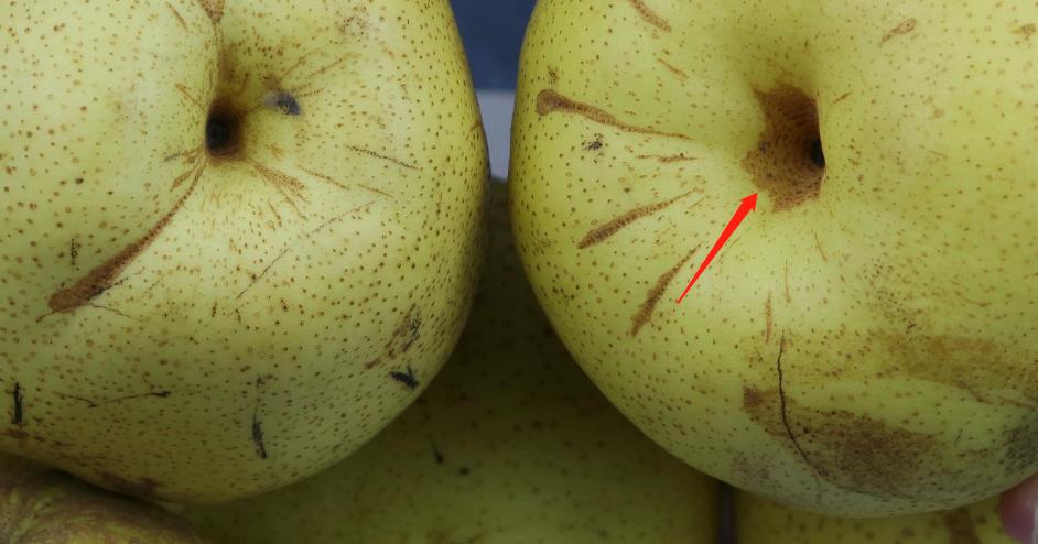 买的梨如何保鲜,买的梨子不氧化是怎么回事