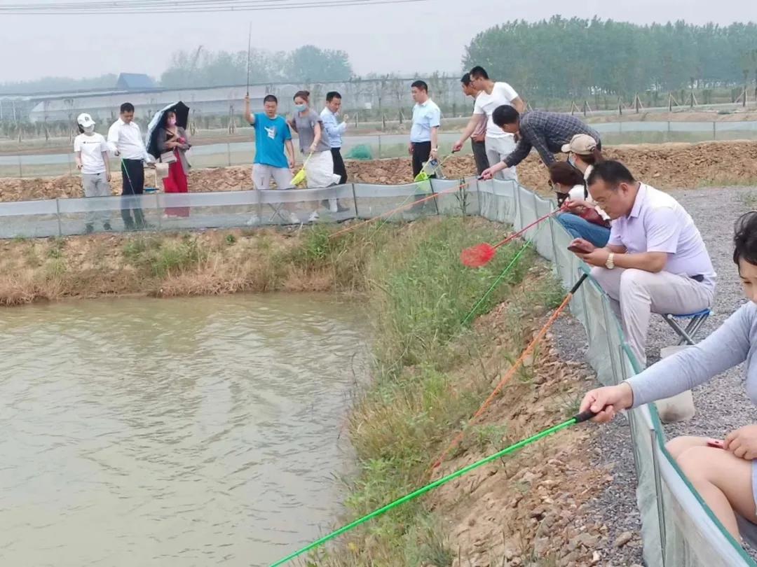 合肥小众风景区,合肥有一处小众景点