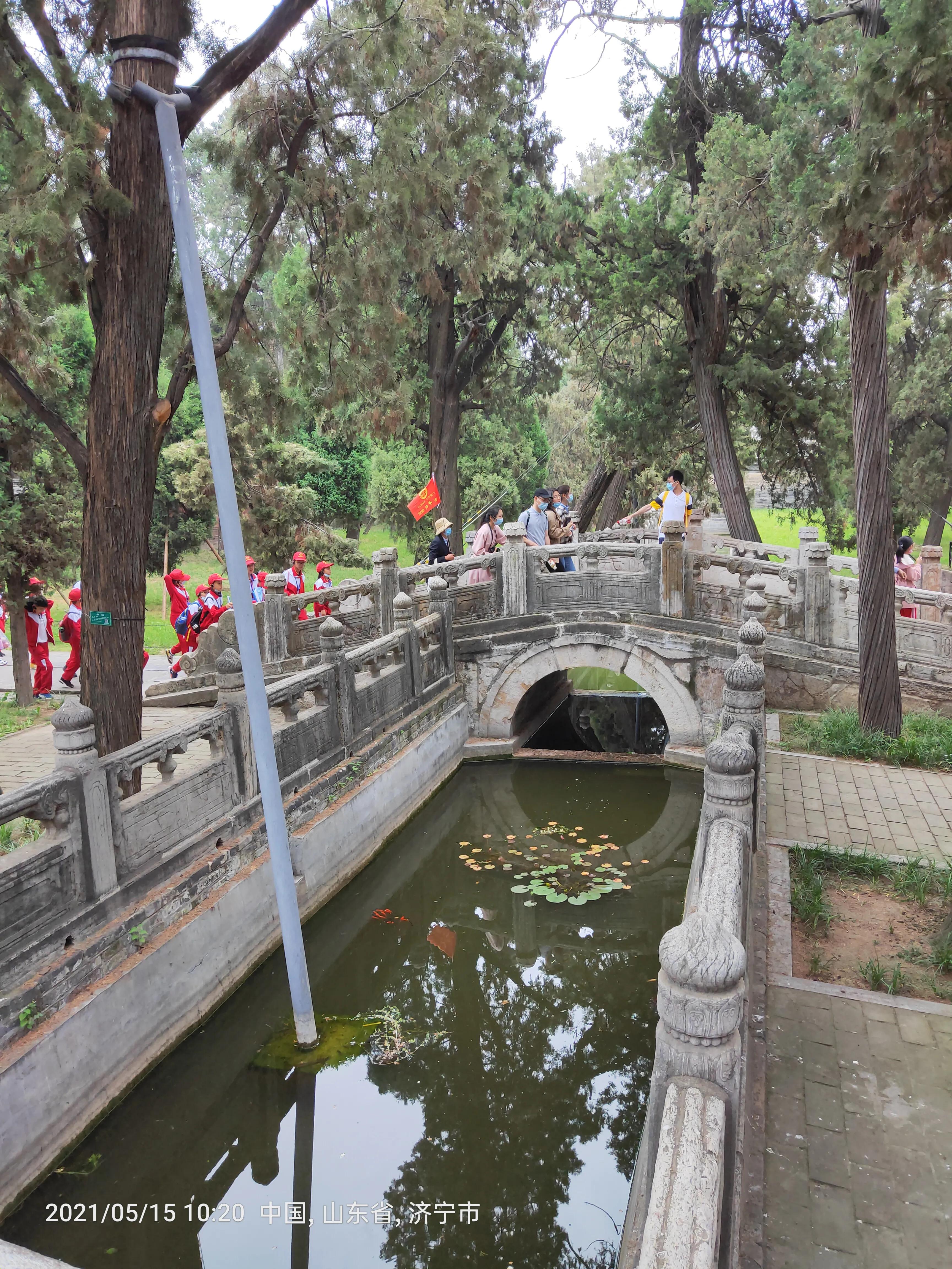 孔府孔庙孔林云直播,孔府孔庙孔林自驾游