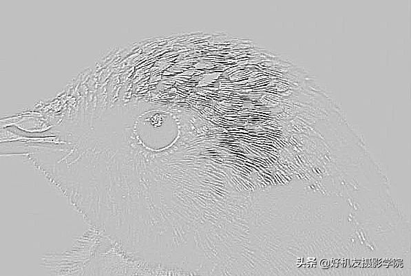 照片灰蒙蒙的怎么拍,照片灰蒙蒙的怎么变清新