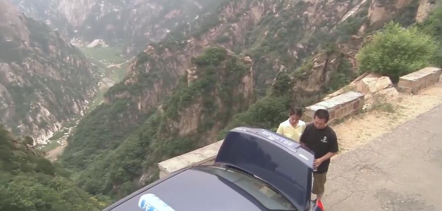 主人想把狗安乐死,主人选择抛弃狗狗