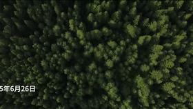 这两名犯人打破了美国监狱180年的记录,他们是如何做到的?