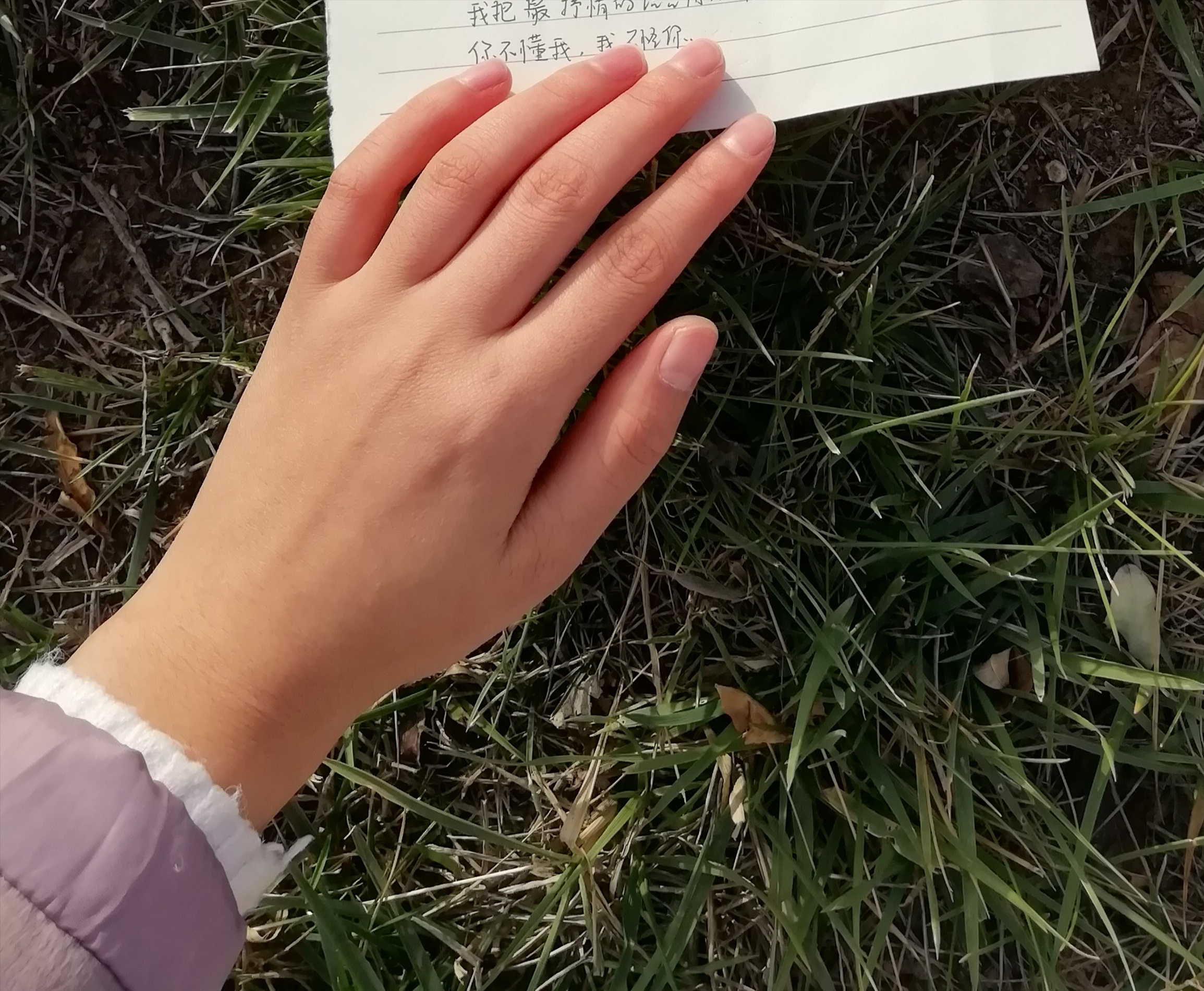 起风了钢琴简谱,美文摘抄800字起风了