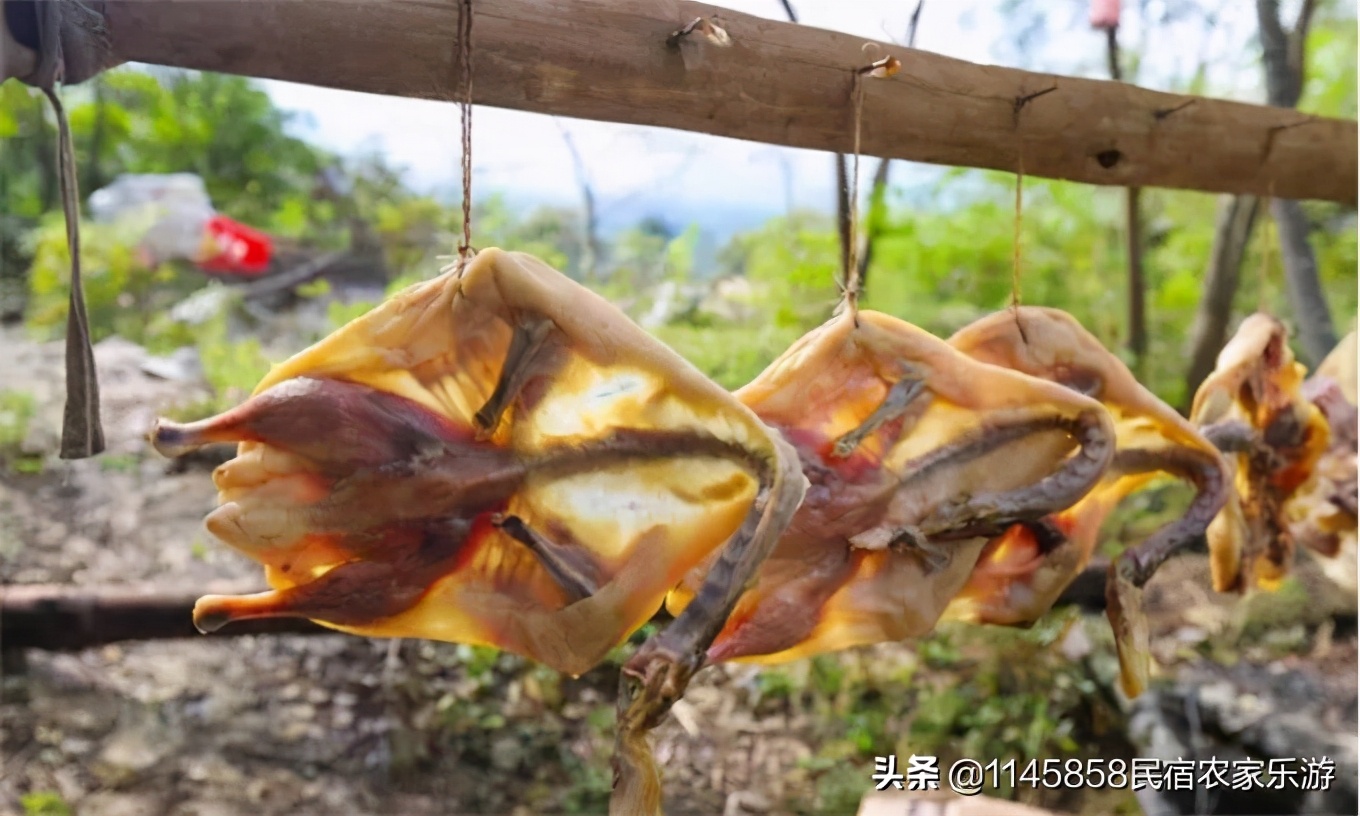 清远千年瑶寨入住民宿多少钱,清远千年古镇民宿