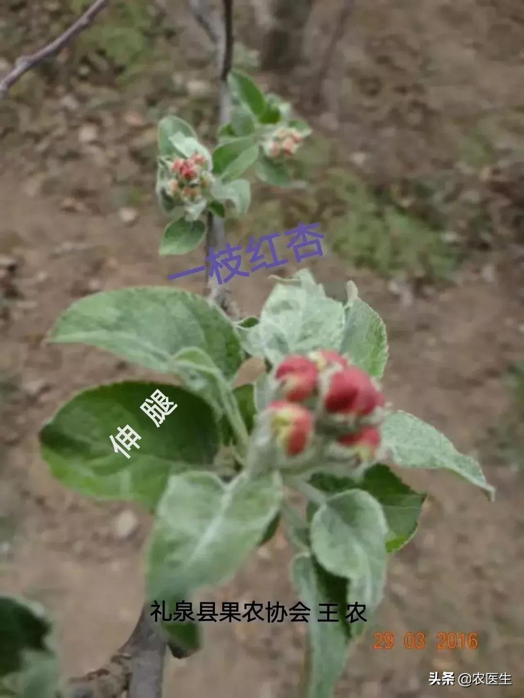 一线实战专家,一线实战导师经验丰富