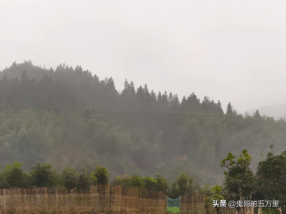 鬼哥的五万里D147骑记:敬终将逝去的技艺(洪江市-靖州县)