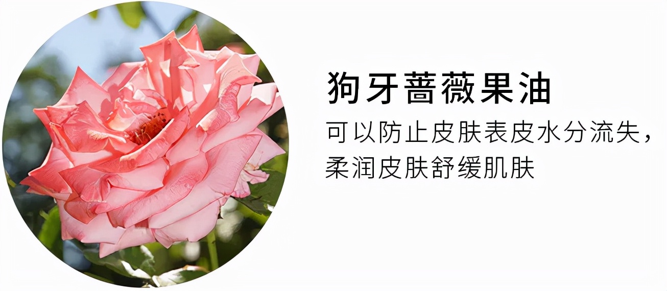 黛珂植物韵律水乳清爽滋润怎么选,黛珂植物韵律水乳清爽和滋润