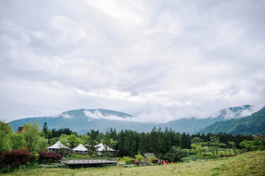 生活与态度,生活态度与健康