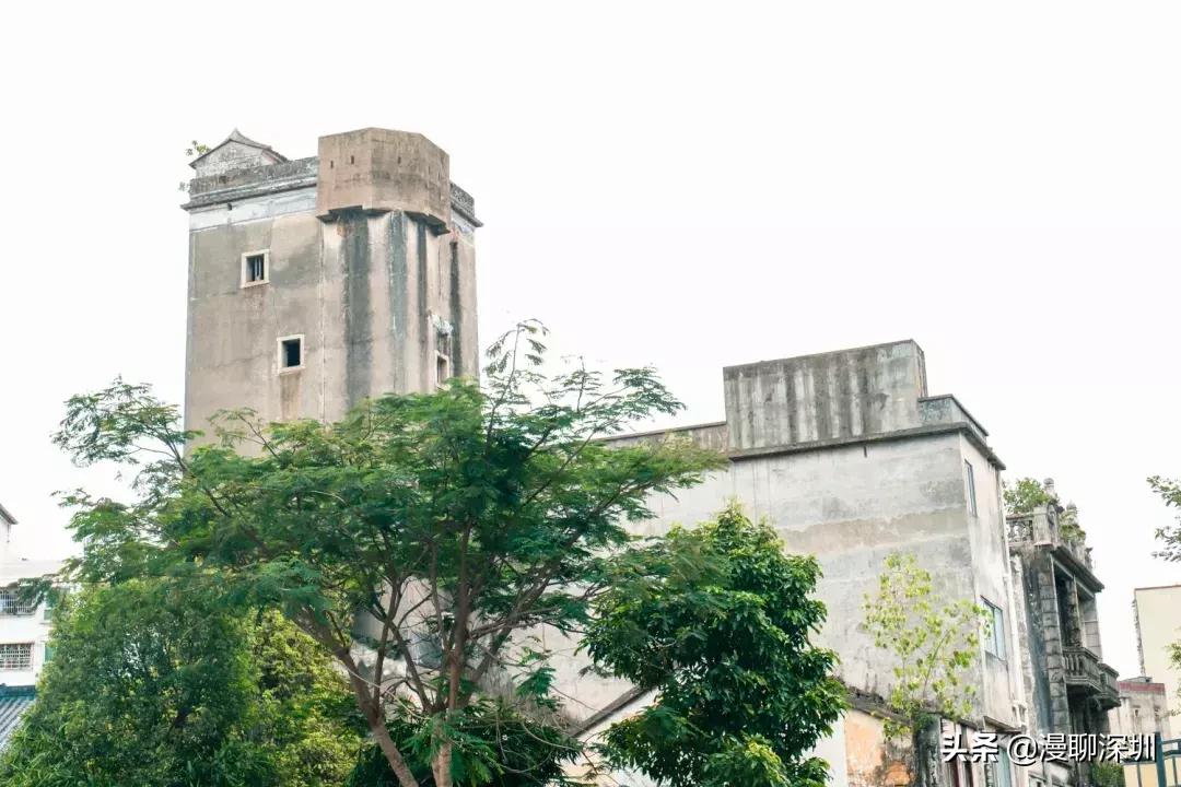 行走深圳歌曲,深圳观澜攻略