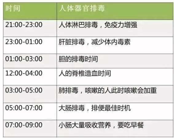 胸越按越大？不同器官排毒时间不同？真相太意外