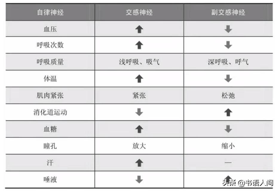 经常紧张心慌怎么办,经常紧张焦虑如何缓解