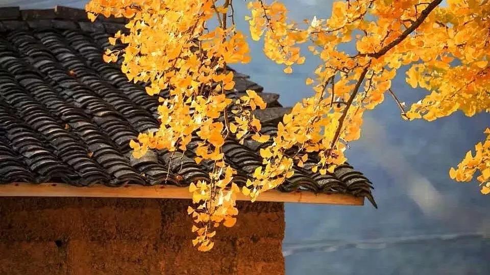 年度十佳微小说看完久久难以忘怀,年度十佳微小说的主题