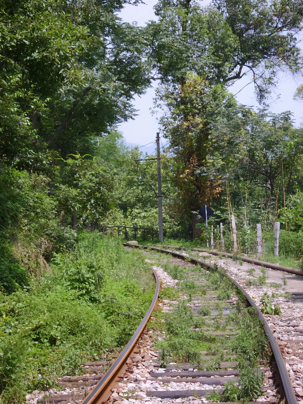 运转昭化站,探秘821厂铁路专线