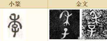 浼徊鍙斿瑙ｆ瀽,浼徊鍙斿鏂囧甯歌瘑