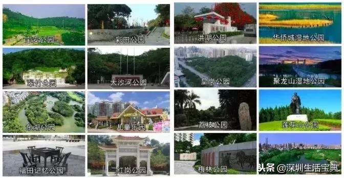 深圳还属于世界一线弱城市吗,深圳一线城市