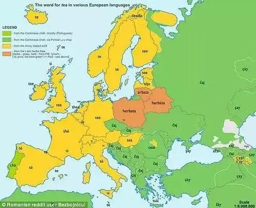 茶的英文知识有哪些,茶的所有英文单词