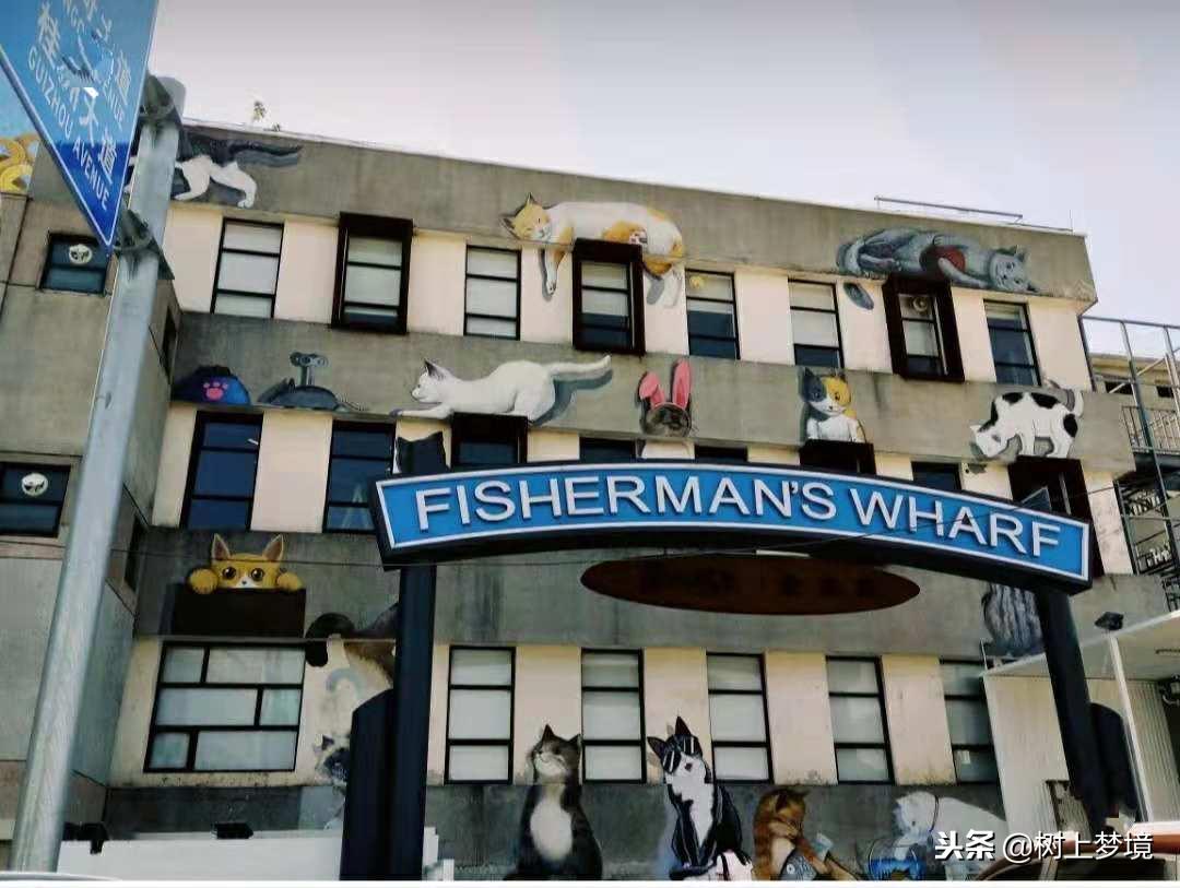 美丽顺德景区,美丽顺德