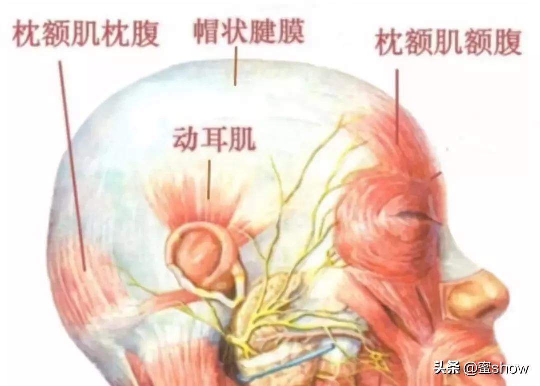 42岁冻龄女星光彩夺目,40岁冻龄女星