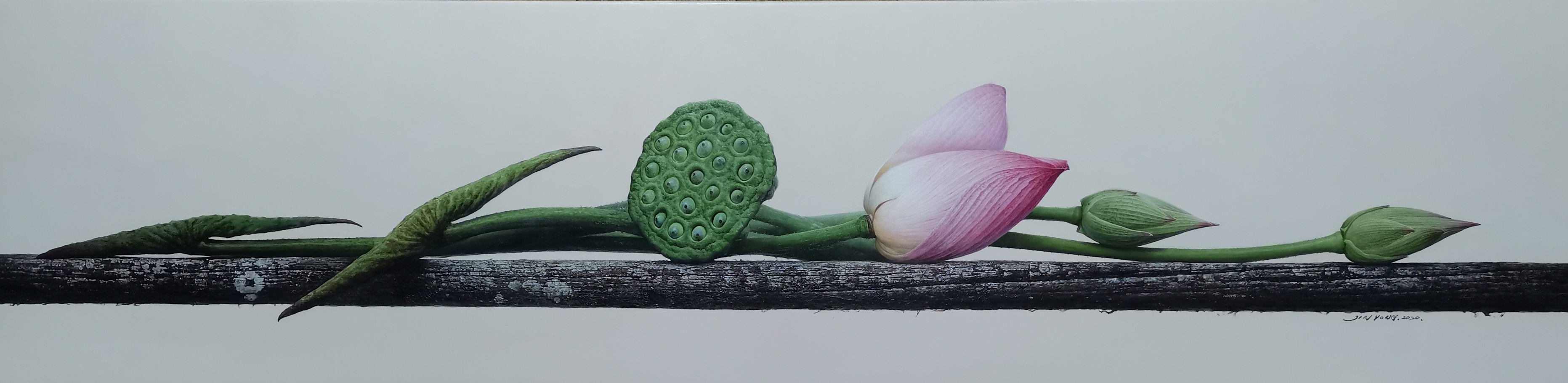 广州秋季艺博会,第二十五届广州园林艺术博览会