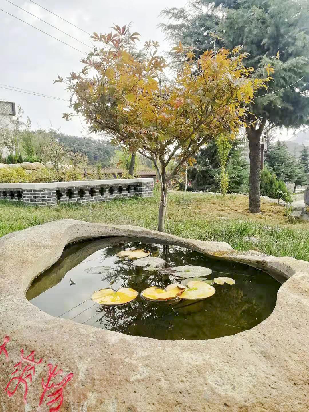 行走在乡村的感悟,行走在乡间感悟