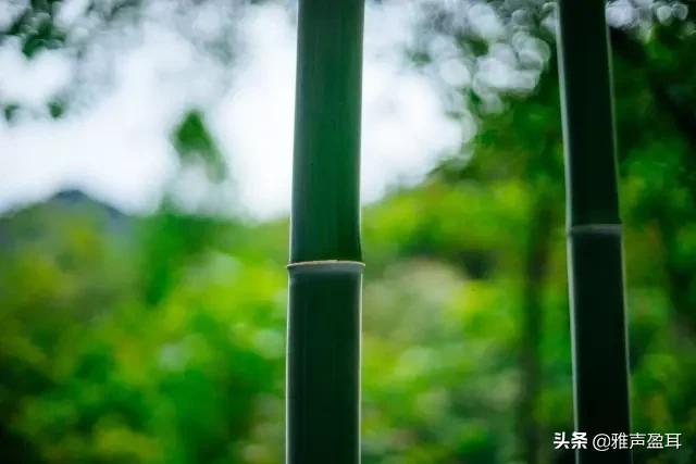 听一曲《湘妃怨》分明曲里愁云雨，似道萧萧郎不归