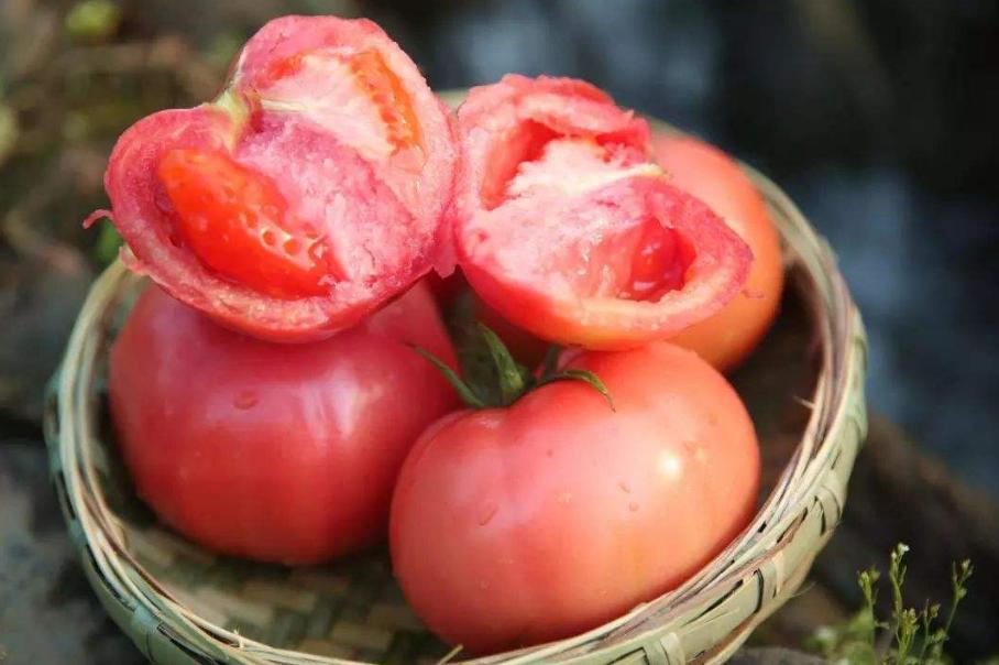 买西红柿时要小心“激素西红柿”，学会4个方法，轻松鉴别