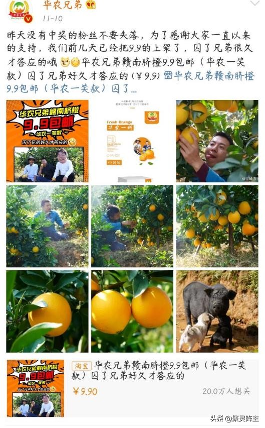 云南褚橙和赣南脐橙区别,褚橙与赣南脐橙哪个好