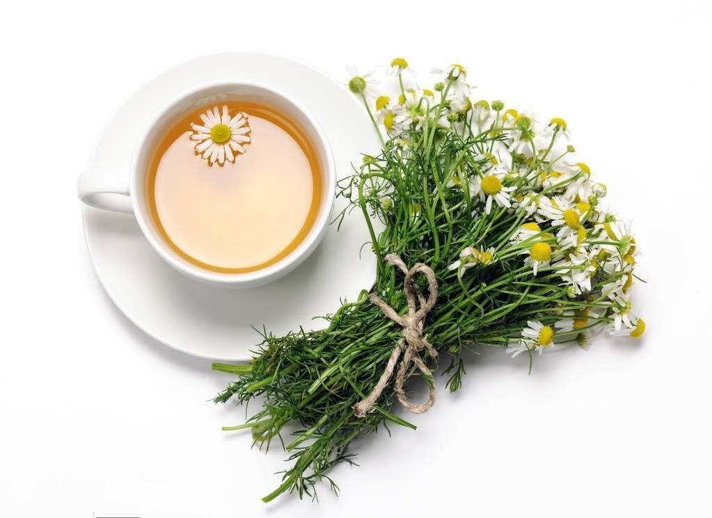 咖啡恋上茶—茶物语