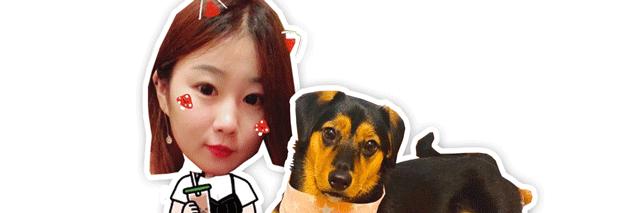 猫白血病病毒是什么病毒引起的呢 (猫咪感染猫白血病一定发作吗)