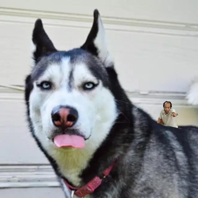 ai人像抠图app,精确人像抠图app