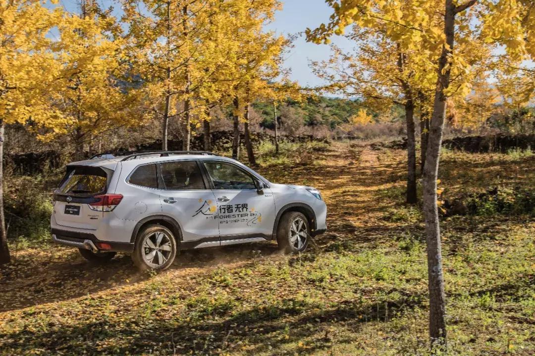 斯巴鲁森林人第一视觉驾驶,全新斯巴鲁森林人第一视角