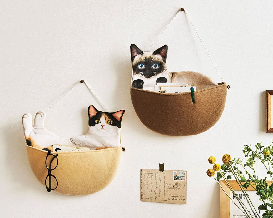 日本人又来骗猫奴们的钱啦！但我心甘情愿掏钱了！