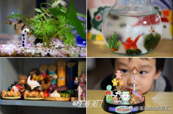 雪国和冰雪,雪国旅游