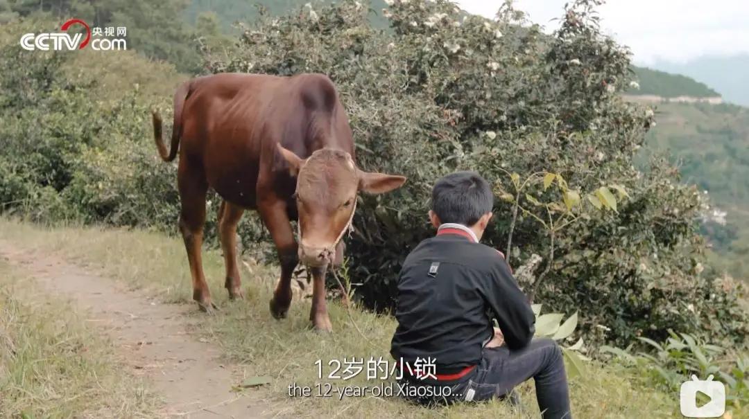 关于情绪调节的纪录片,看了情绪管理的感触