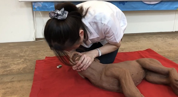 哈士奇中暑会不会死亡,哈士奇中暑怎么办