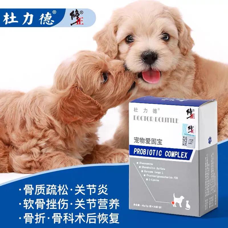 灰泰迪的疫苗,家有灰泰迪