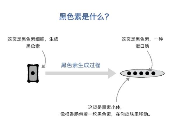 十大美白的东西,十大热门美白精华测评