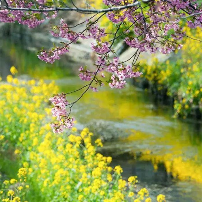 流年过往莫被辜负,经历了世事沧桑还能待你如初