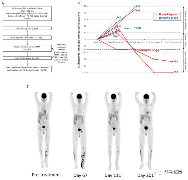 制定最适合肿瘤患者的抗癌方案,2021年肿瘤治疗指南