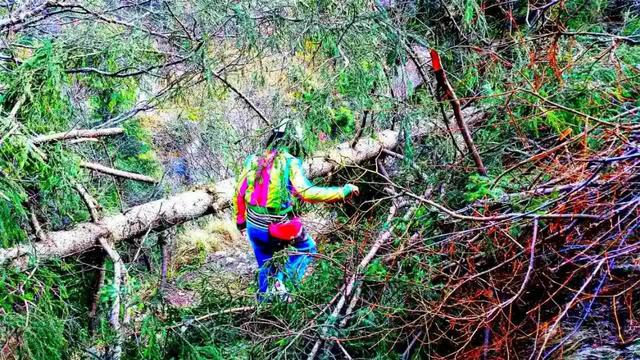 莲花山上莲花寺,莲花山普宁山顶