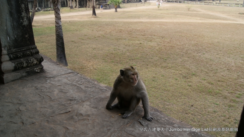 第157回：庙宇神殿湮没丛林，你中有我我中有你